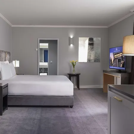 酒店 布拉格老城区希尔顿酒店